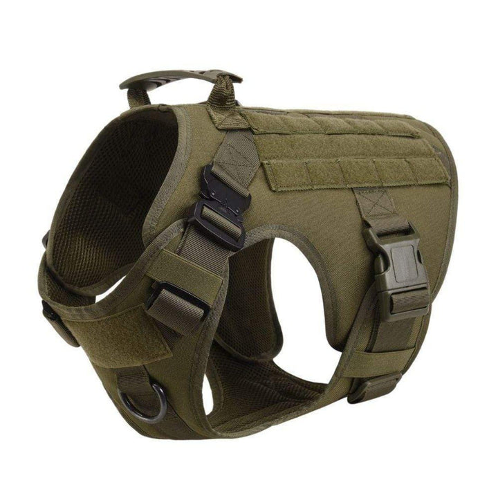 Best no-pull harness for dogs that pull, offering control and comfort during walks.