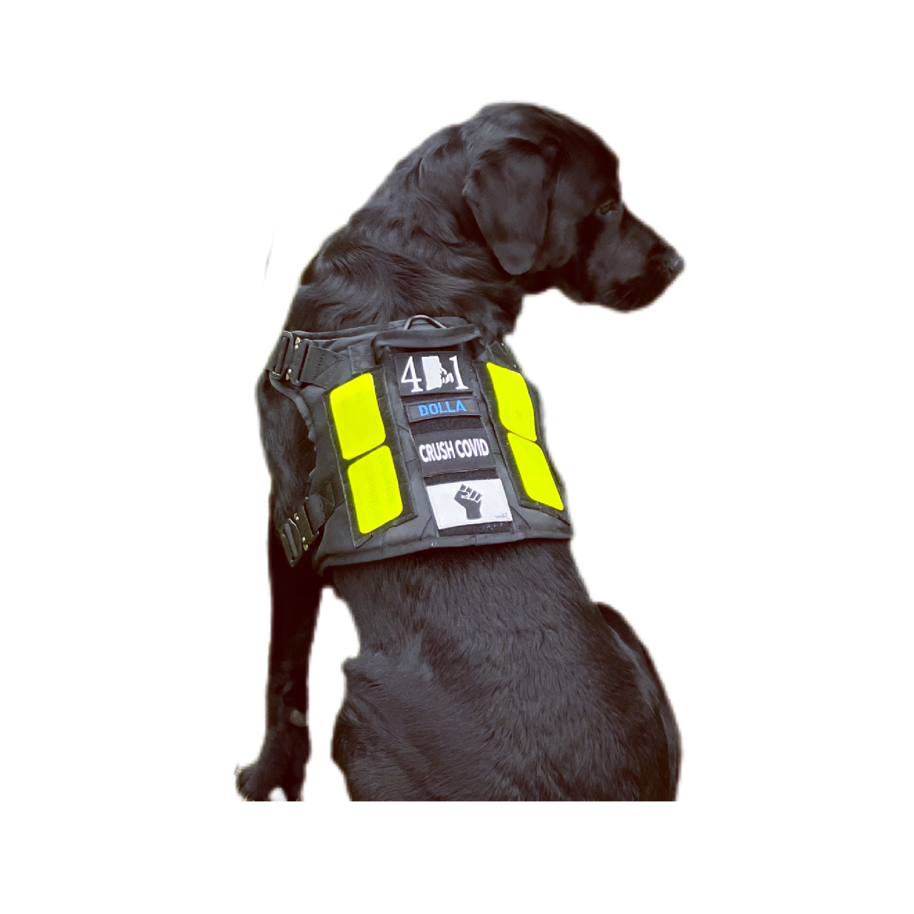 Durable no-pull dog harness with adjustable straps for small, medium, and large dogs.